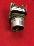 Allen Bradley 800T-QT24 Ser: T 24V Cap Pushbutton NO Cap USNP (B12)