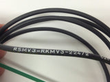 Lumberg RSMV3-RKMV3-224/2 3 Wire Prox Cable