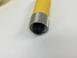 Lumberg RKT 4-3-632/5M Sensor Cable Assembly 60000254 RKT43632 5M