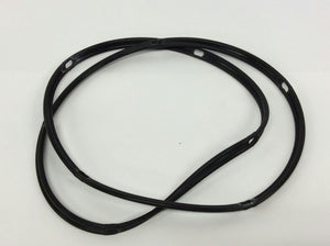 Pentair Combustion Chamber O-ring For Bolt on Style After 10/2013