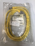 TURCK RKG 4.4T-2-RSC 4.4T/S1587, Eurofast Double Ended Cable U2-04755