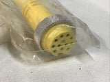 MENCOM MINP-12MFPX-6 Cordset 12 Pole Male Straight / Female Straight 6 Ft 4A