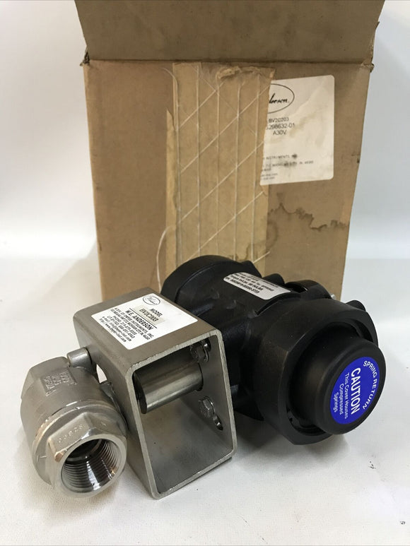 Anderson Dwyer BV2C203 Pneumatic 1