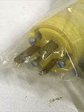 Daniel Woodhead 14W07 Watertite Plug 15A 125V 10A 250V EDP 71080
