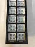 IDEC SLC30N 4071 0208-DD2 TD2 FB Illuminated Pushbutton Display