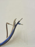 Banner MQDC1-530 Quick Disconnect Cable 5 Pin Straight Connector