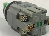 IDEC ASLN332220DN-G Green Illuminated Actuator Switch 24V LED Lamp