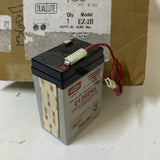 Hubbell Dual Lite EZ-2R Commercial Emergency Light
