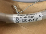 Allen-Bradley 1492-ACABLE010Y Ser A Pre-Wired Cable for 1756 Analog I/O