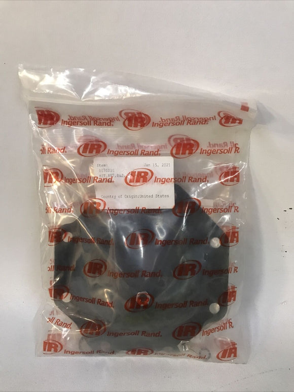 Ingersoll Rand 630394 1070110 Diaphragm Pump Service Kit