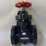 ASAHI 2” Gate Valve Type P 50mm Flange ANSI Hi PVC EPDM Inner Screw Hand Wheel L
